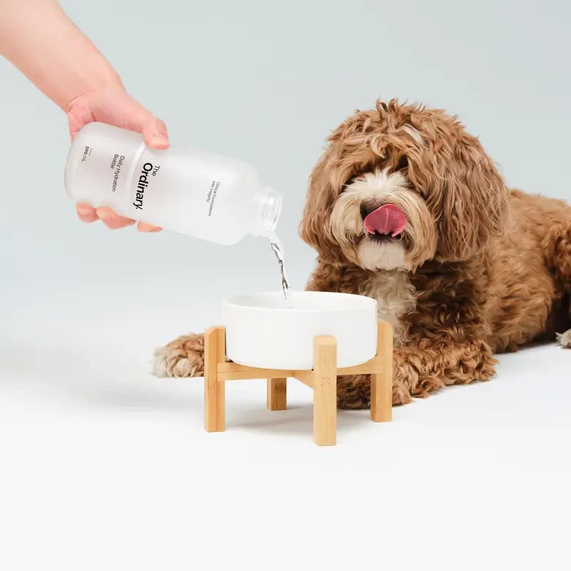Daily Hydration Glass Bottle