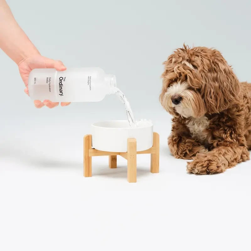 Daily Hydration Glass Bottle