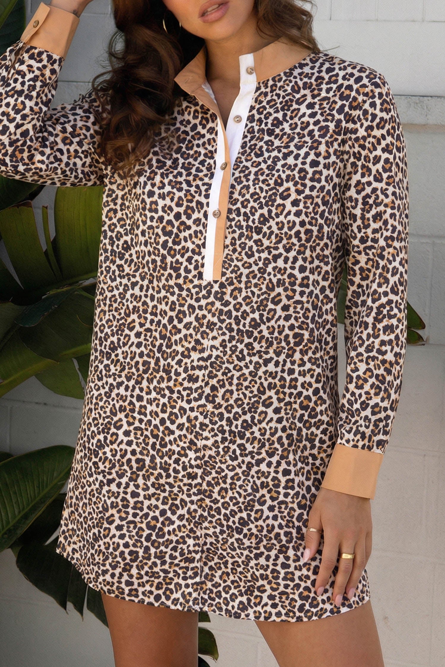 Multicolour Button Striped Collar Leopard Print Long Sleeve Flared Dress