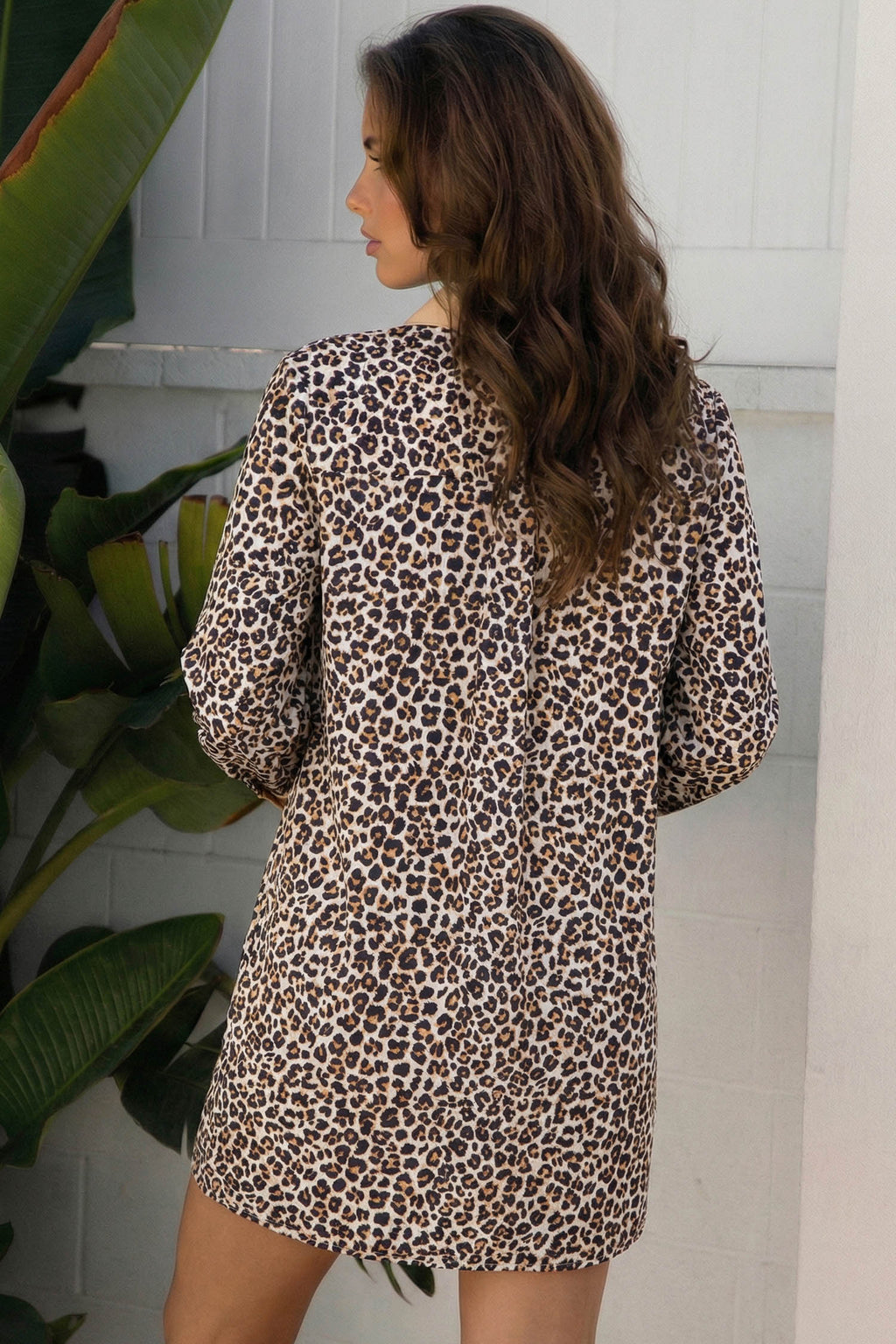 Multicolour Button Striped Collar Leopard Print Long Sleeve Flared Dress